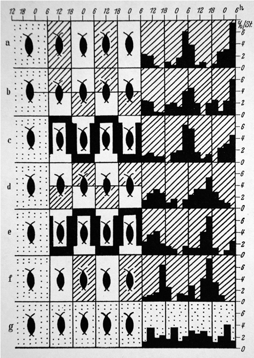 Event Photo - “ - Black-and-white (752x705), Png Download