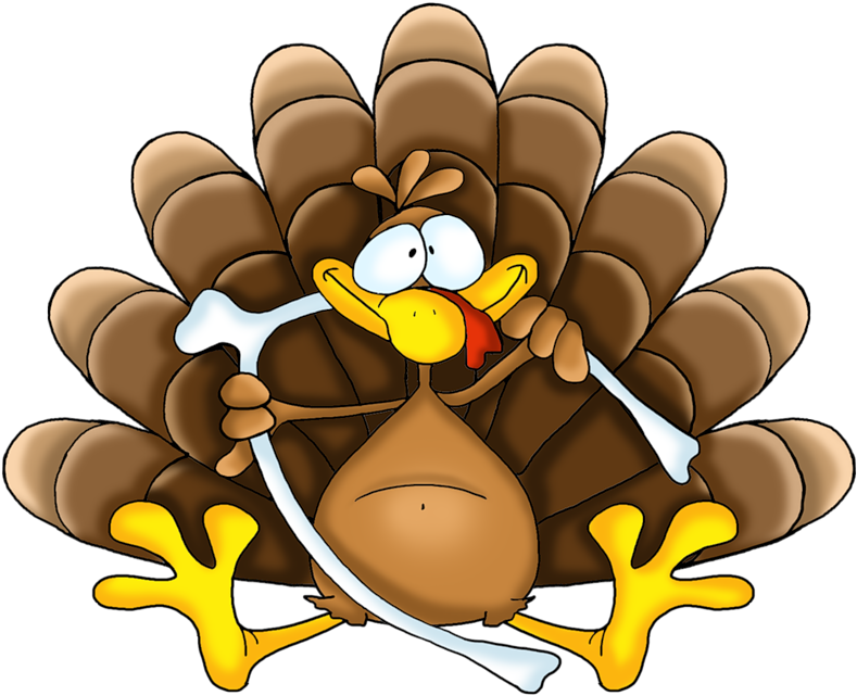 Фотки Turkey Cartoon, Thanksgiving Turkey, Happy Thanksgiving, - Turkey Cartoon (800x649), Png Download