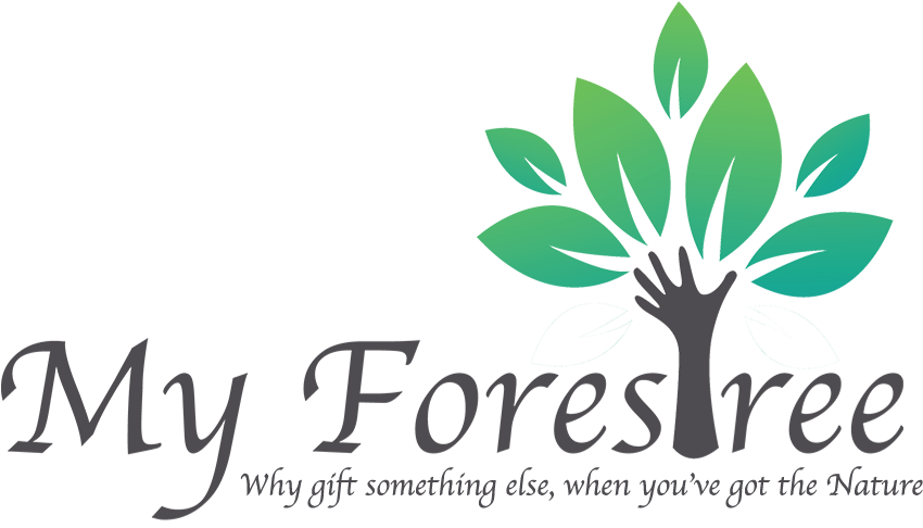 Buy Indoor And Outdoor Plants - Miracle In Progress Greeting Card (1050x600), Png Download