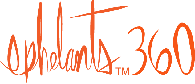 News Video Image - Ephelants360 Ico (633x274), Png Download