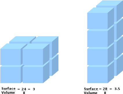 Two Rectangular Prisms Are Each Composed Of Eight Unit - Allen's Rule (440x341), Png Download