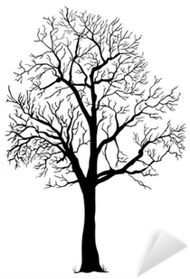 Vector Black Silhouette Of A Bare Tree Sticker • Pixers® - Bare Trees Silhouettes (400x400), Png Download