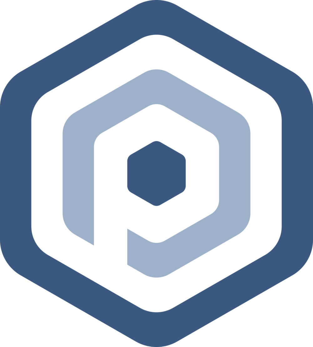 Praevis Consulting Icon - Icon (1000x1111), Png Download