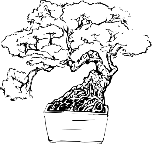 Bonsai,tree,line - Tree Line Art Png (500x475), Png Download