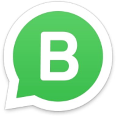Whatsapp For Business Logo (384x384), Png Download