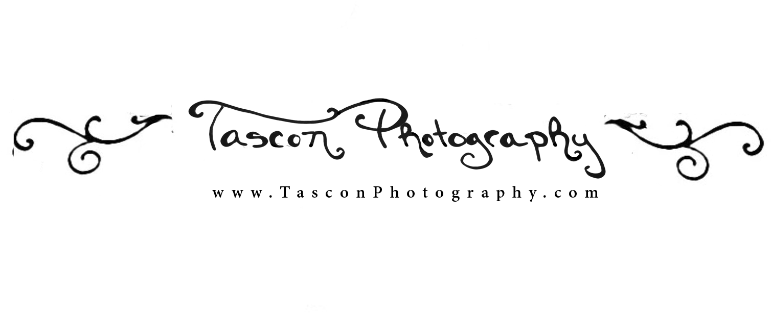 So, I Have Been Known To Do Graphic Design Work When - Pergaminho (2222x917), Png Download