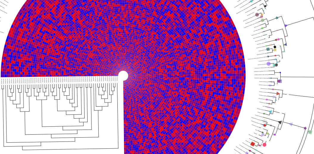 Create High Quality Figures - Tree Of Life (1054x517), Png Download