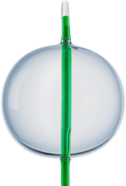 Previousnext - Circle (1420x640), Png Download