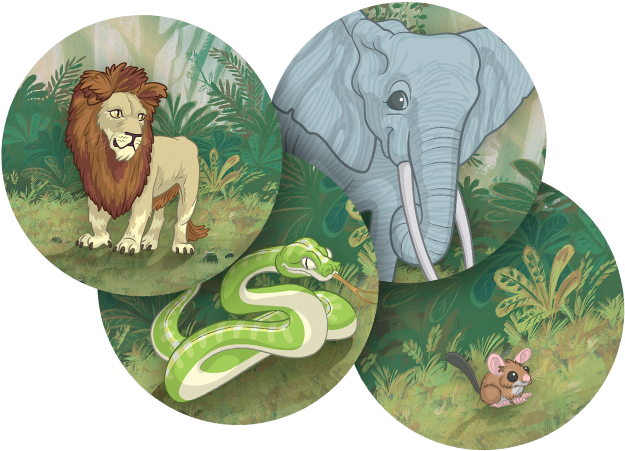 Welcome To The Jungle - Z Man Games Junggle 5 Games In 1 (625x500), Png Download