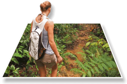 Jungle Trek Belize - Belize (467x313), Png Download