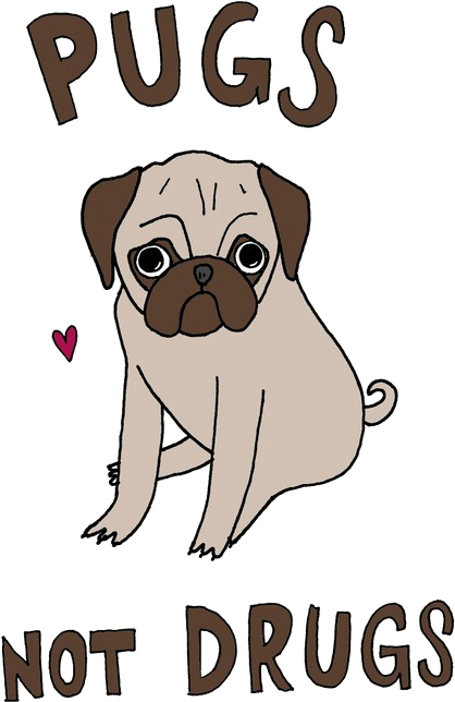 Imagenes Pug Tumblr Png (500x729), Png Download