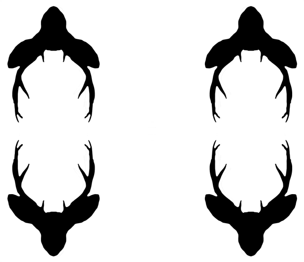 Whale (800x532), Png Download