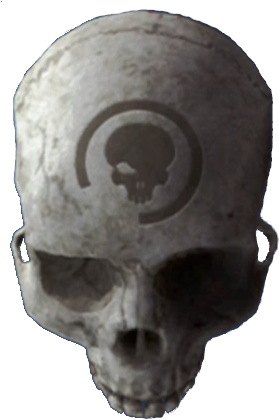 Hcea Black Eye - Halo Grunt Birthday Skull (284x429), Png Download