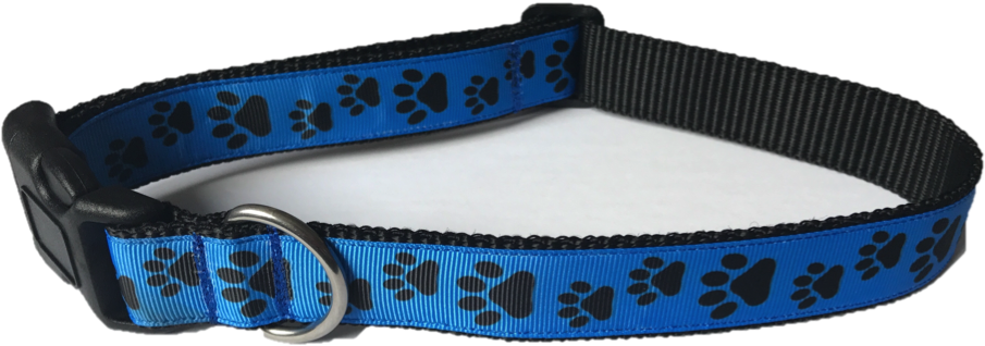 Dog Collar - Blue Paws - Dog Collar (1006x488), Png Download