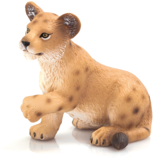 Lion Cub Standing - Lion Cub Playing (540x529), Png Download