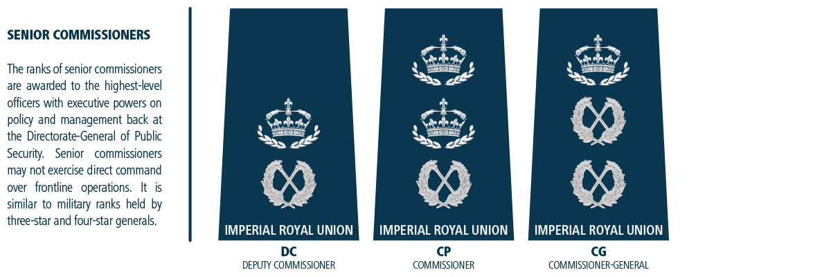 The Following Is The Rank Insignia Used By The Law - National Security (1200x400), Png Download