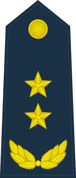 Ranks Of The People's Liberation Army Air Force - General Officer (250x583), Png Download