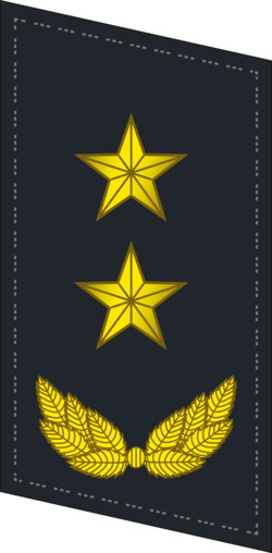 Ranks Of The People's Liberation Army Navy - Epaulette (250x508), Png Download