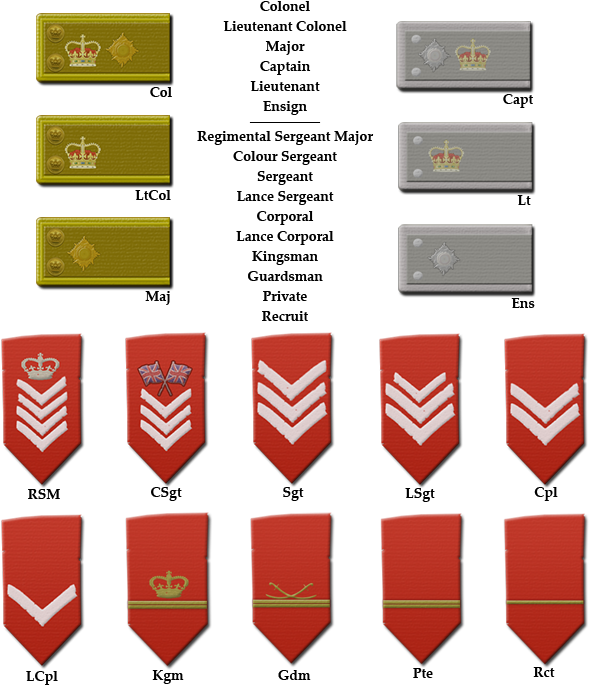 The Ranks Of The British Infantry In The Napoleonic - Napoleon Army Ranks (628x714), Png Download