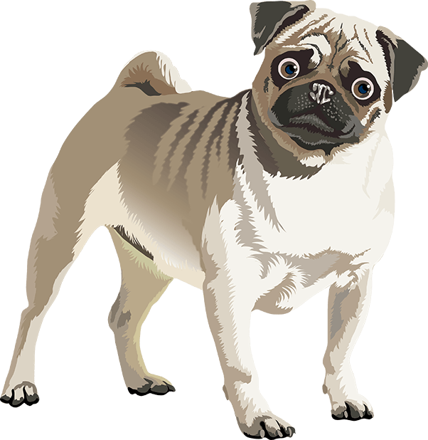 Realistic Dog Art - Dog (602x618), Png Download