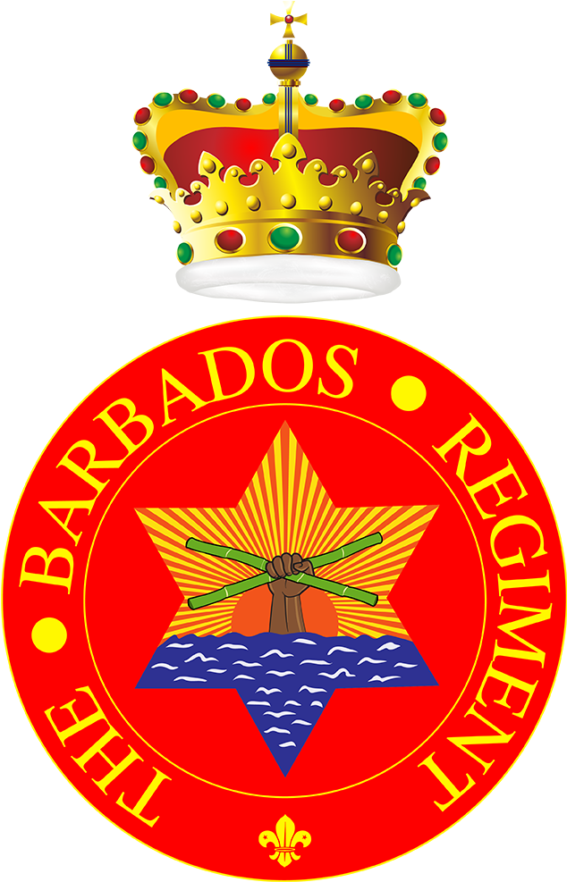 Barbados Regiment - Department Of Health And Human (1000x1000), Png Download