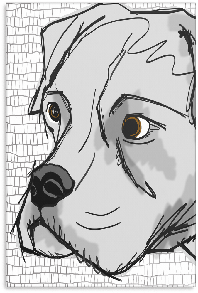 Pitbull Canvas Wrap 1703-5 - Gallery Wrap (1024x1024), Png Download