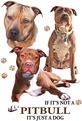 Pit Bull (400x400), Png Download