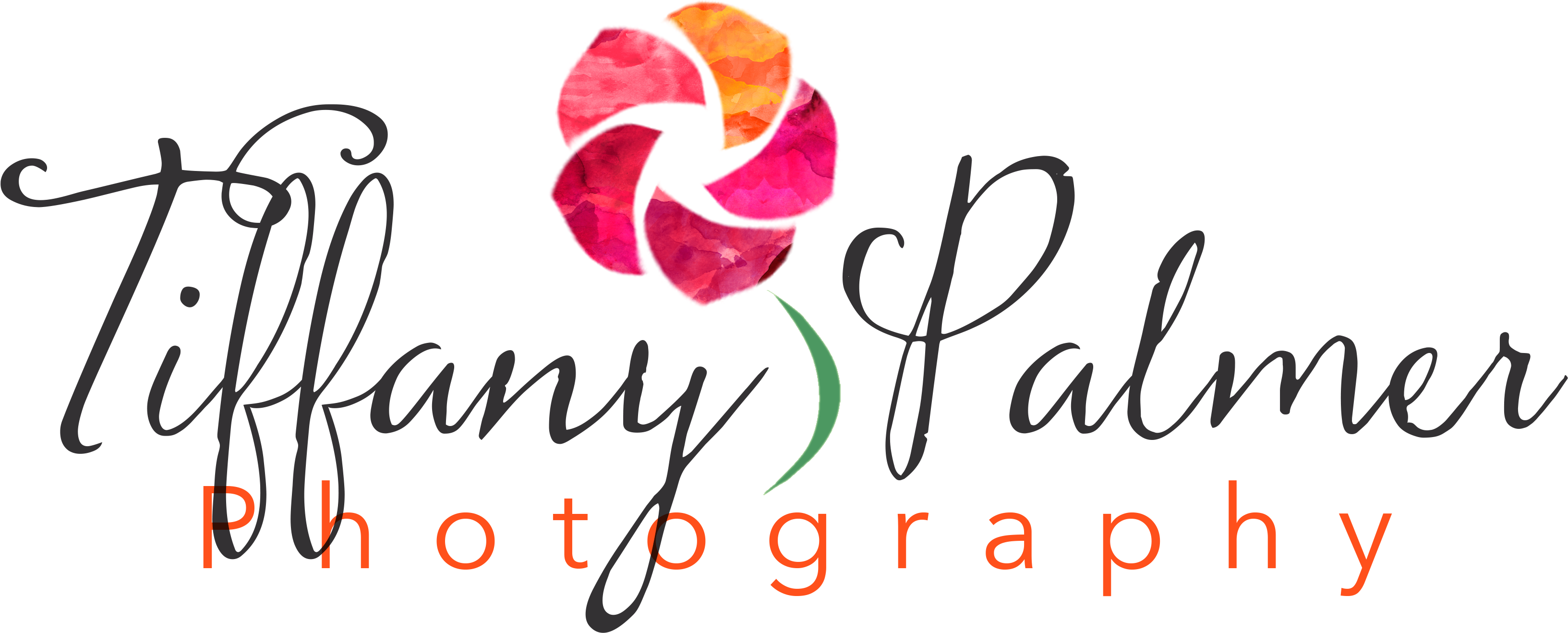 Enter For Your Chance To Win One Free 30-minute Photo (3300x1500), Png Download