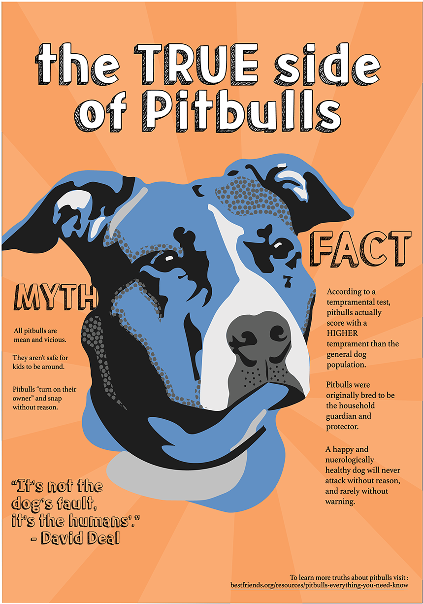 I Chose A Commonly Used And Incorrect Stereotype, That - Companion Dog (1400x1243), Png Download