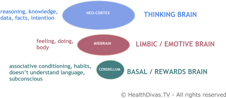 2013 10 17 Your3brainsandeating - Stop Overeating (846x361), Png Download