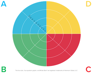 Team-building Reports - Hbdi Profile (400x333), Png Download