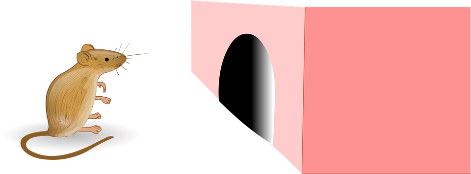 Rat Image In Cartoon Type (960x356), Png Download