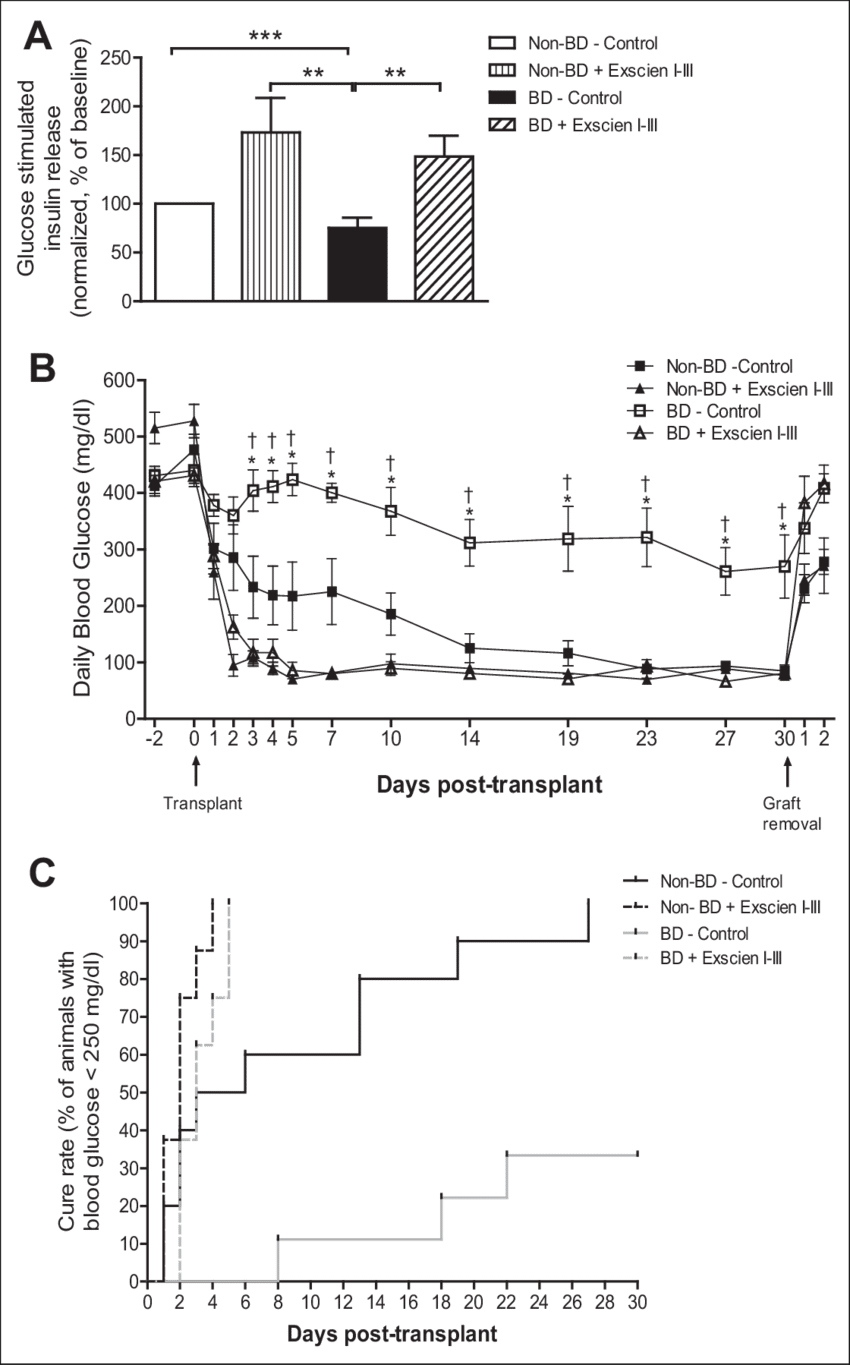 Exscien I Iii Treatment Restores Functional Potency - Diagram (850x1365), Png Download