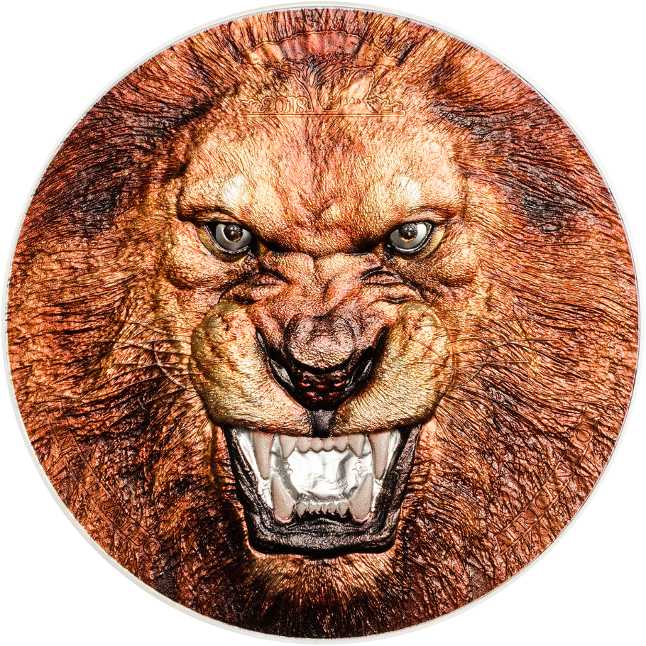 African Lion - Lion (910x910), Png Download
