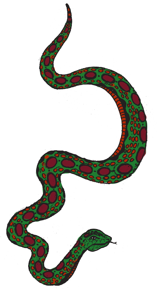 Drawn Snake Transparent - Snake Winding Around Png (560x1090), Png Download