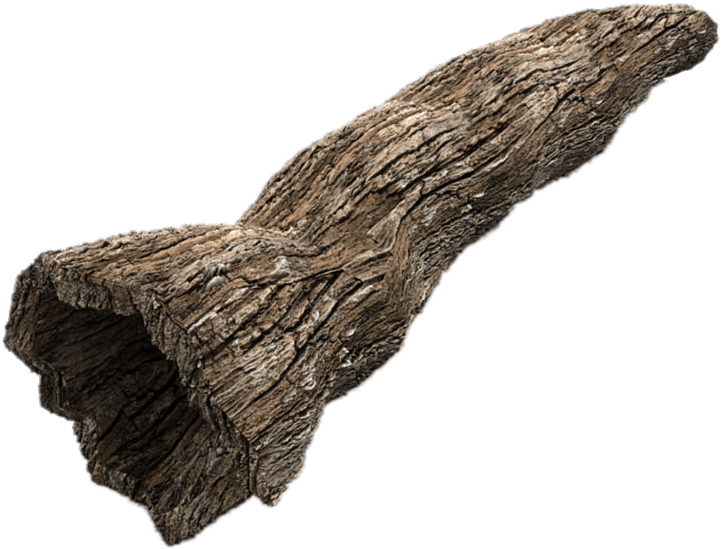 Nature - Trunk (900x900), Png Download