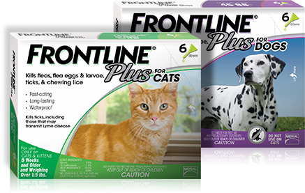 Frontline Plus Boxes - Frontline Plus For Dogs (437x277), Png Download
