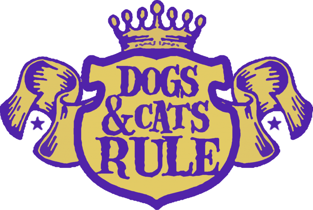 Dogs And Cats Rule (1024x688), Png Download
