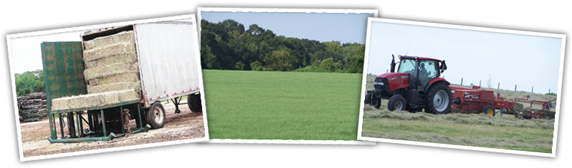 We Can Arrange Delivery For Round Bales Anywhere In - Travel Trailer (800x249), Png Download