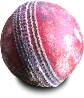 Cricket (400x377), Png Download