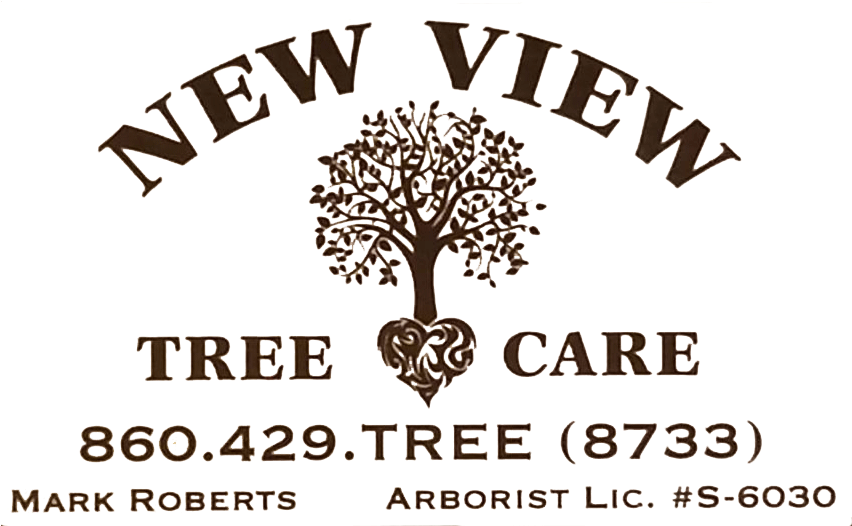 Cosa Nutre La Vita? Expo 2015 (900x525), Png Download