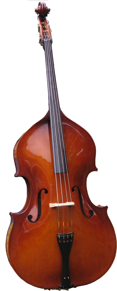 Harp - “ - Bass Instrument Transparent Background (500x1000), Png Download