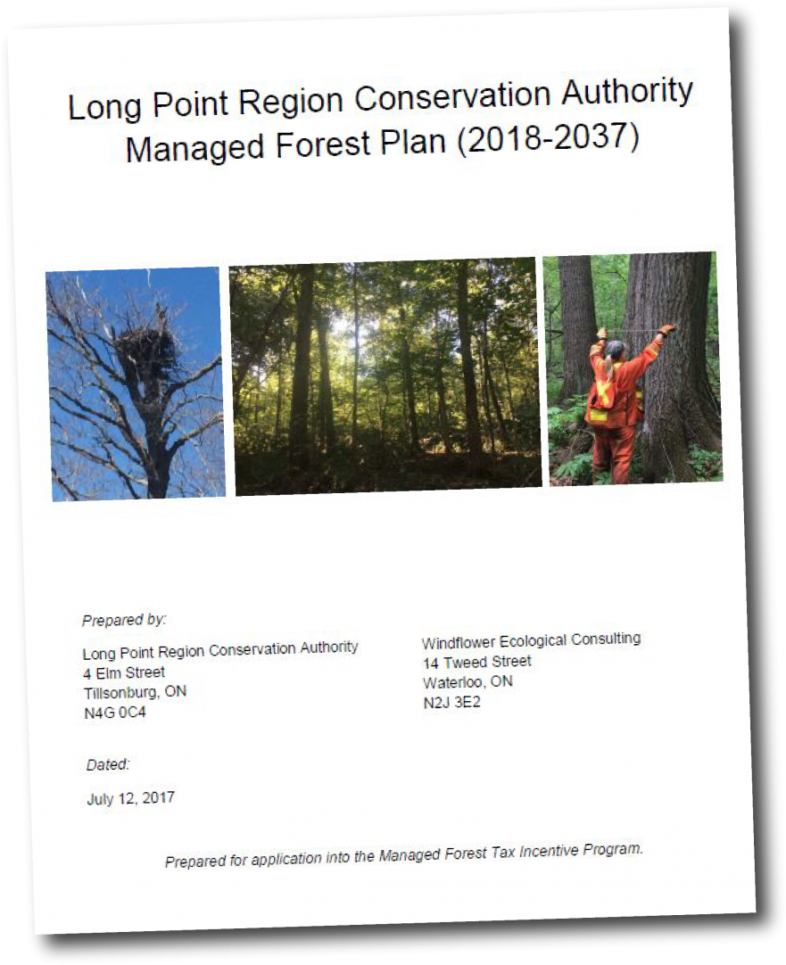 Click To View - Long Point Region Conservation Authority (939x1200), Png Download