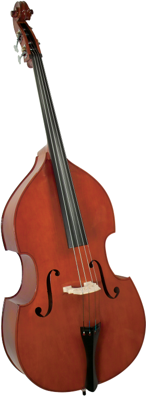 Cervini Hb100 Double Bass Outfit 3/4 Size - Cremona Sb-1 3/4 Size Double Bass (1000x800), Png Download