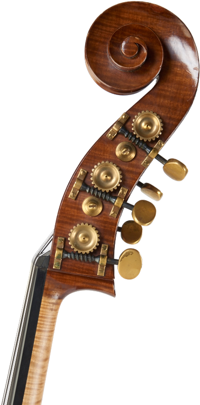 Martin 4-4 5 String Double Bass - Double Bass (500x816), Png Download
