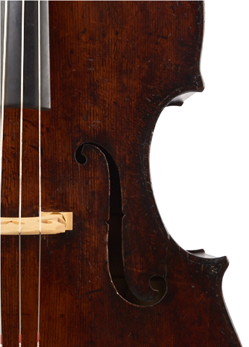 William Forster Double Bass - Viola (500x816), Png Download
