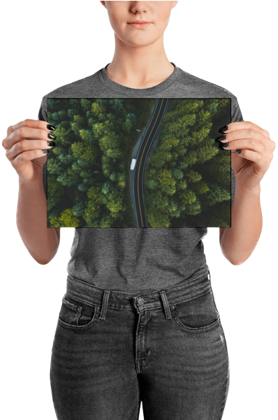 Winding Road Near Lake Cushman Poster - Poster (600x600), Png Download