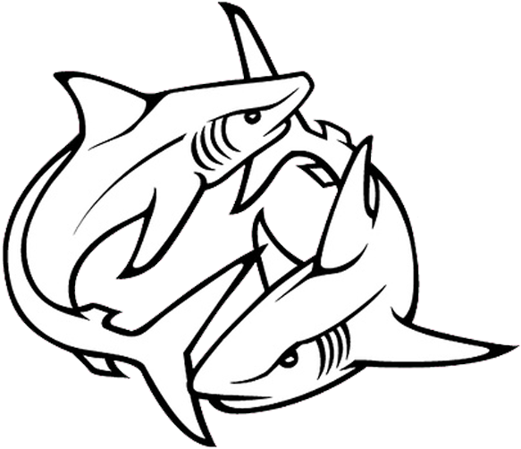 Clip Art Freeuse Image Result For Shark - Pisces Shark Tattoos For Guys (600x521), Png Download