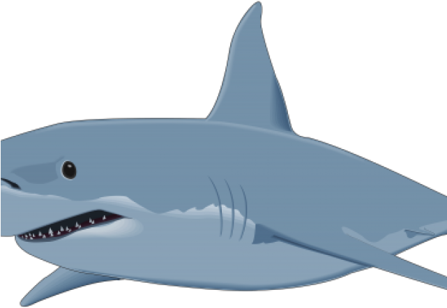 Bull Shark Clipart Transparent Background - Great White Shark Clipart (640x480), Png Download