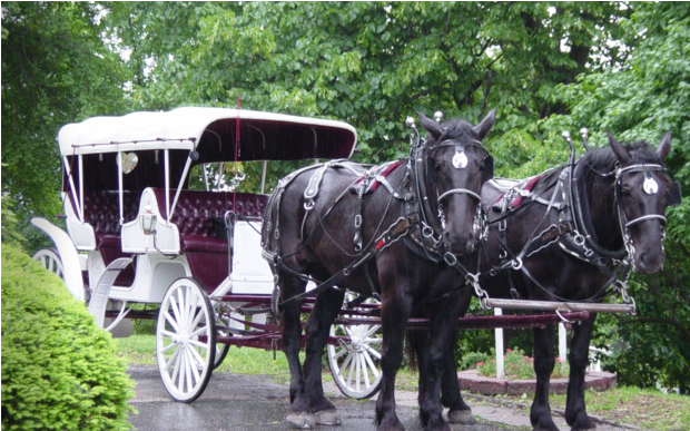 Add Stately Elegance Or Good Old Fashioned Fun With - Duncan Carriages (950x410), Png Download